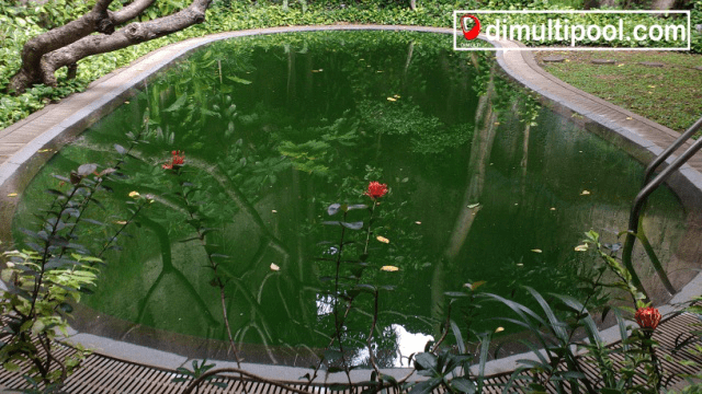 Melindungi dari daun kering