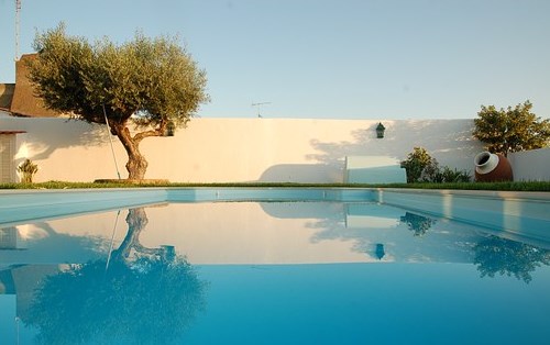 tanaman hias kolam renang.jpg2.jpg