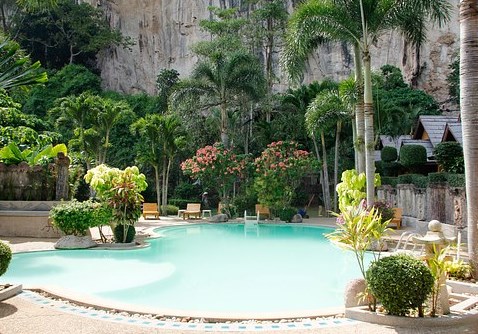 tanaman hias kolam renang