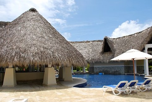 tanaman hias kolam renang