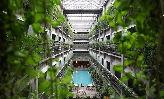 tanaman sekitar kolam renang.jpg2.jpg