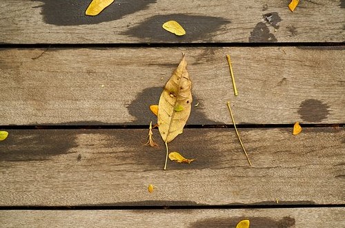 decking dengan perawatan termudah