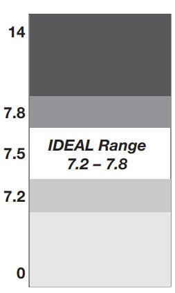 menyiapkan kolam renang