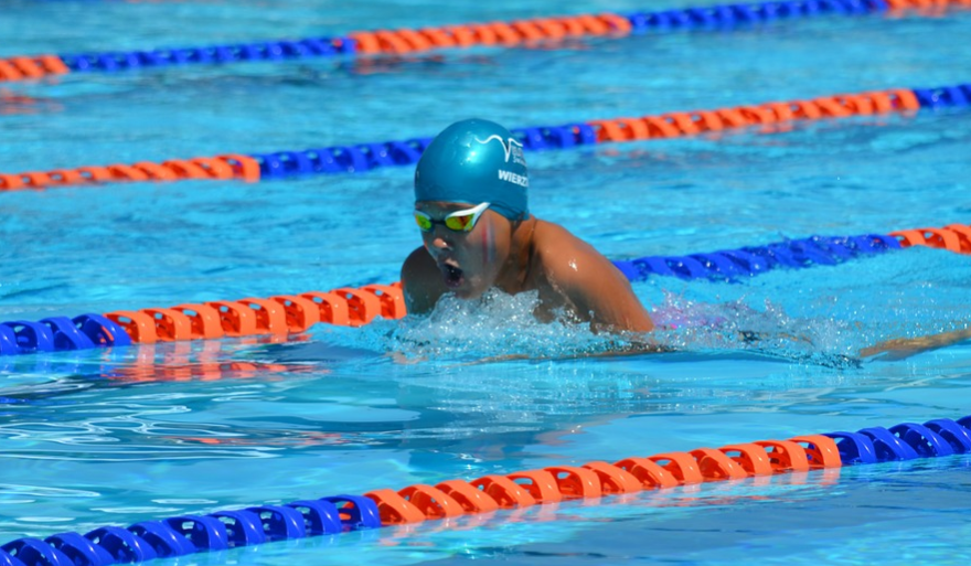 teknik berenang gaya dada