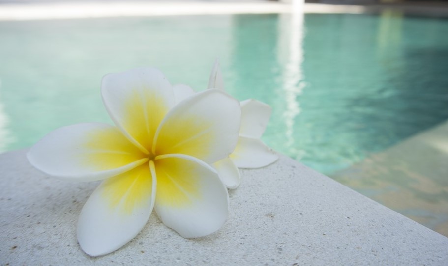 kolam renang ibu hamil