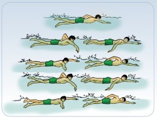 gaya olahraga renang