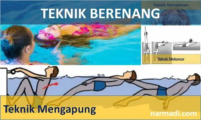 teknik dasar berenang