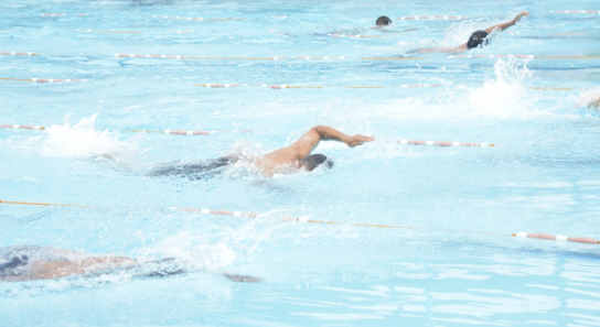 merk kacamata renang atlet