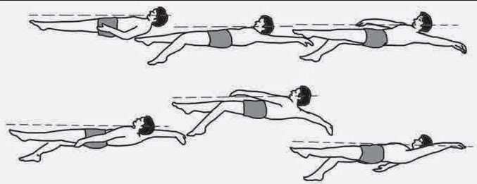 gaya renang untuk pemula