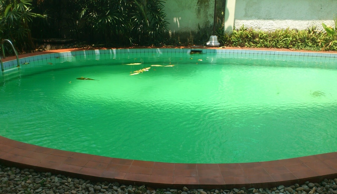 kualitas air kolam renang