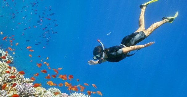 peralatan snorkeling