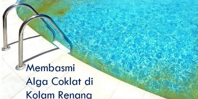 cara mengatasi ganggang coklat.jpg1.jpg