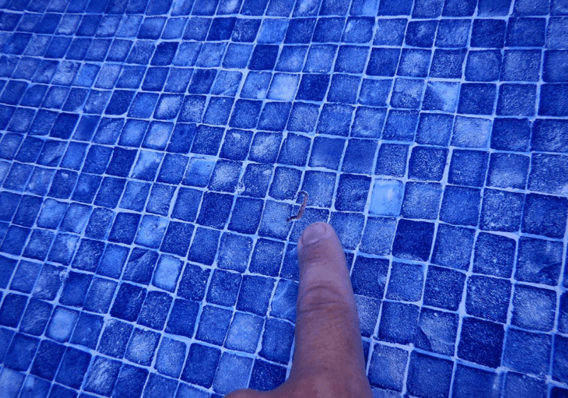 kebocoran kolam renang