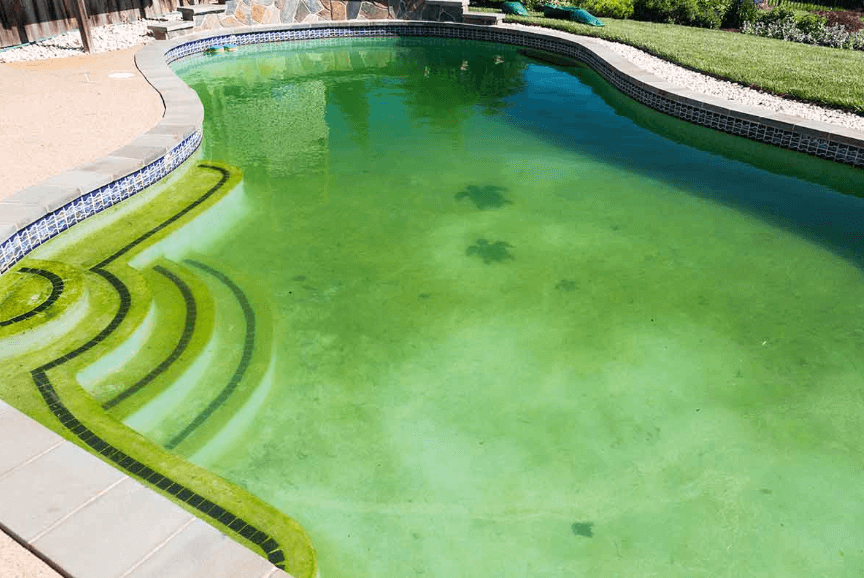 8 Prosedur Menghilangkan Alga di Kolam Renang