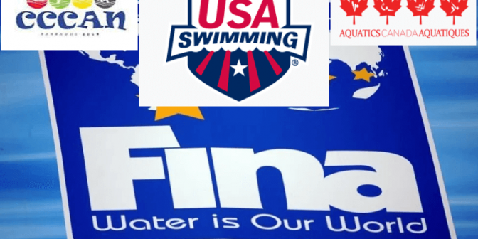 federasi renang amerika