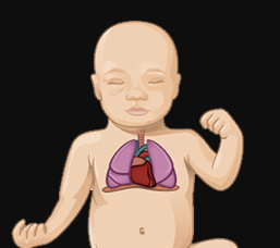 Penyebab bayi cegukan