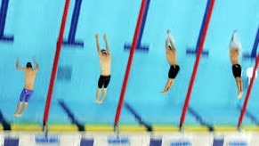 federasi renang arab saudi