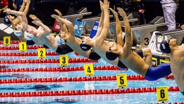 Federasi Renang Eropa (LEN), Rekor Atlet & Kejuaraannya