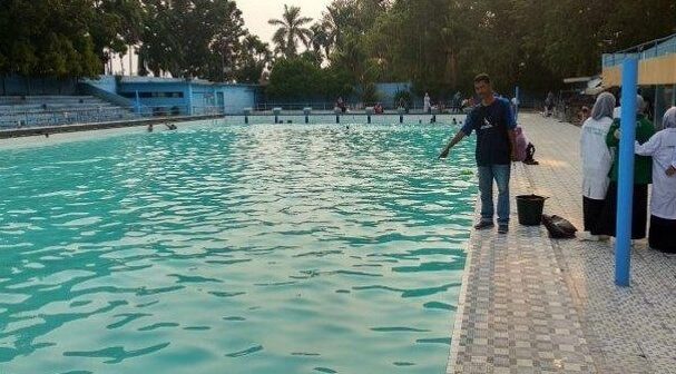 kursus renang di Padang