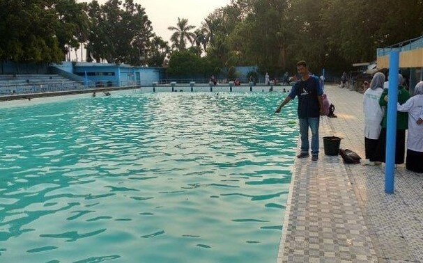 kursus renang di Padang