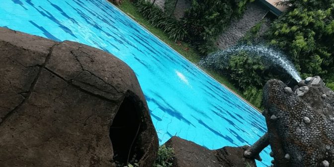 Gladiol Kolam Renang di Magelang