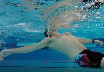 cara berenang yang benar