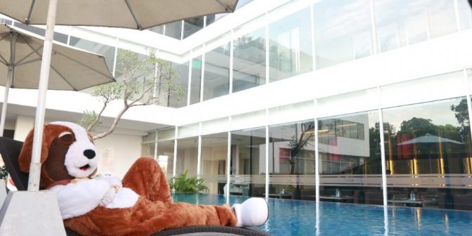 hotel dengan kolam renang di Jambi