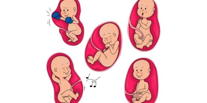 bayi lapar dalam kandungan