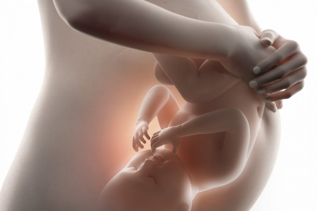 bayi lapar dalam kandungan