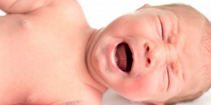 bayi lapar terus