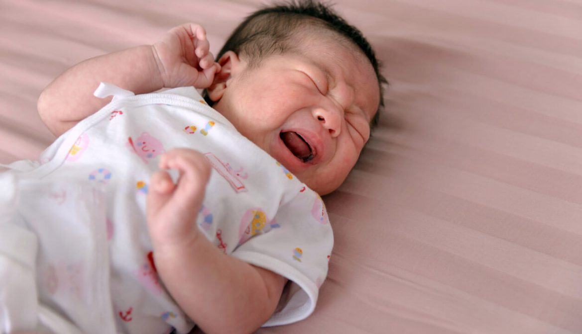 bayi lapar terus
