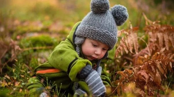 nama bayi laki laki november