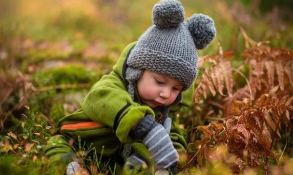 nama bayi laki laki november