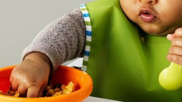 perlengkapan makan bayi