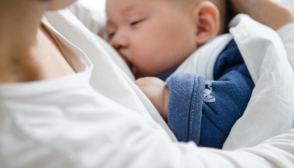 makanan ibu menyusui