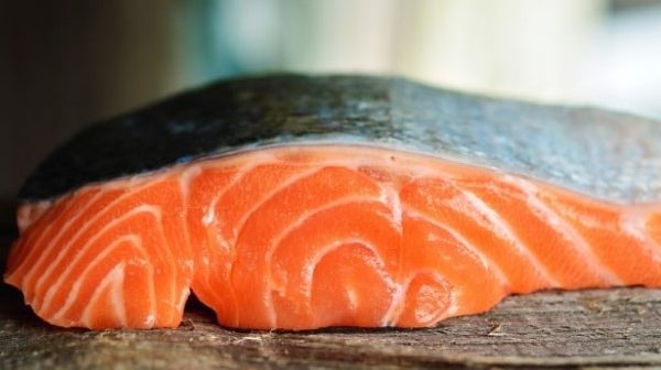 salmon daya tahan tubuh anak