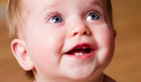 gigi bayi akan tumbuh