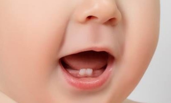 gigi bayi akan tumbuh