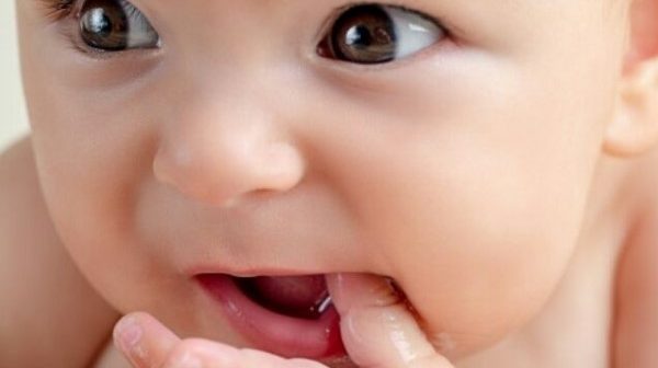 pertumbuhan gigi pada bayi
