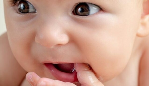 pertumbuhan gigi pada bayi