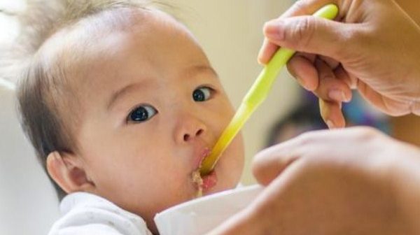 makanan untuk bayi