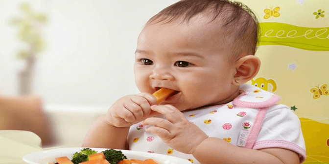 Makanan Untuk Bayi 1 Tahun