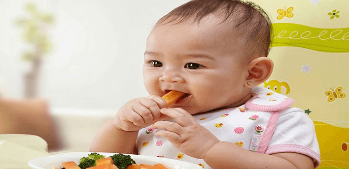 Makanan Untuk Bayi 1 Tahun
