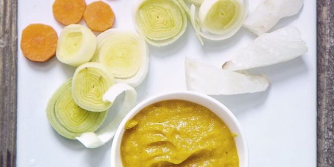 makanan untuk bayi 9 bulan