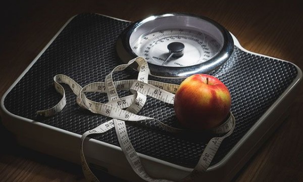 menurunkan berat badan
