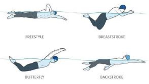 empat macam gaya renang