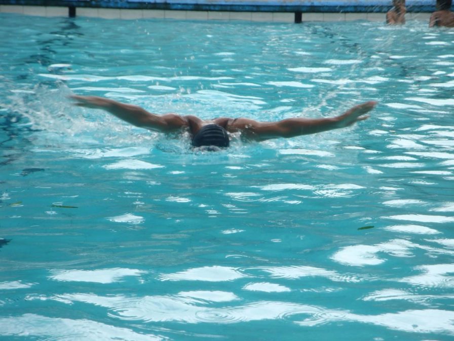 renang gaya bebas