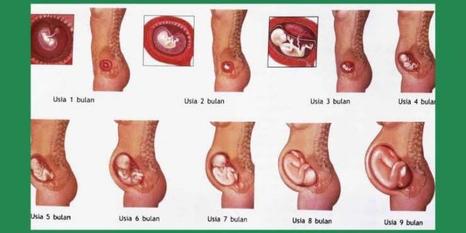 tanda hamil 1 minggu