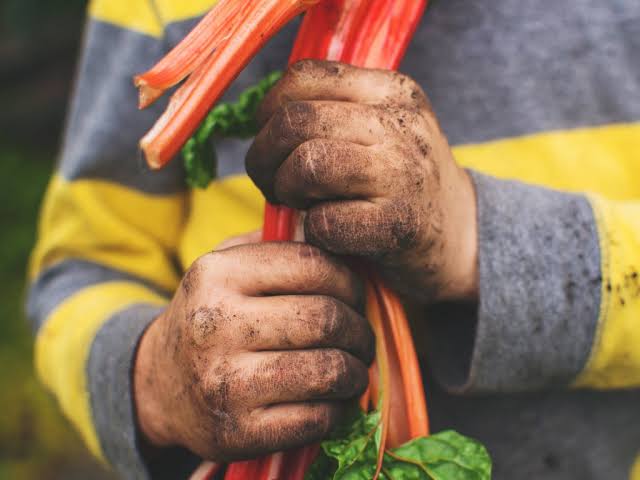 anak suka main kotor kotoran