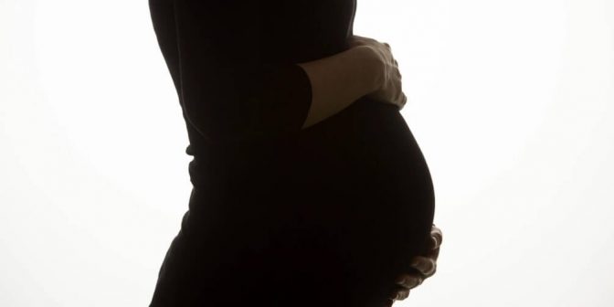 proses perkembangan janin